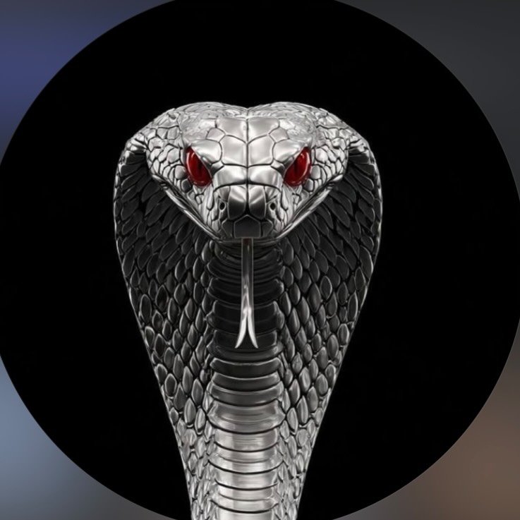 el_mundo_salvaje0 avatar