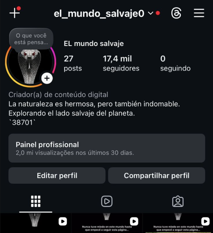 Capture du compte el_mundo_salvaje0